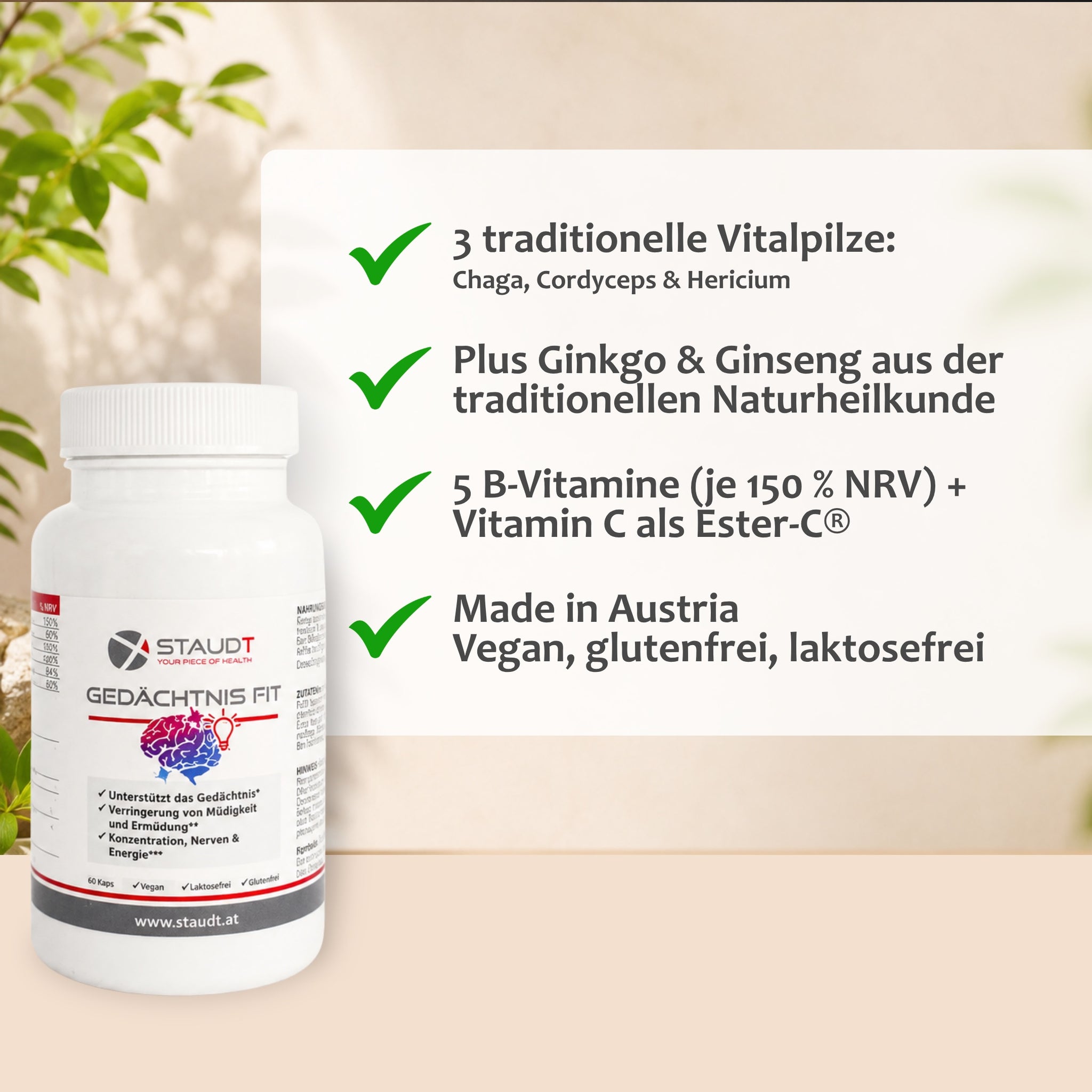 Staudt® Gedächtnis Fit