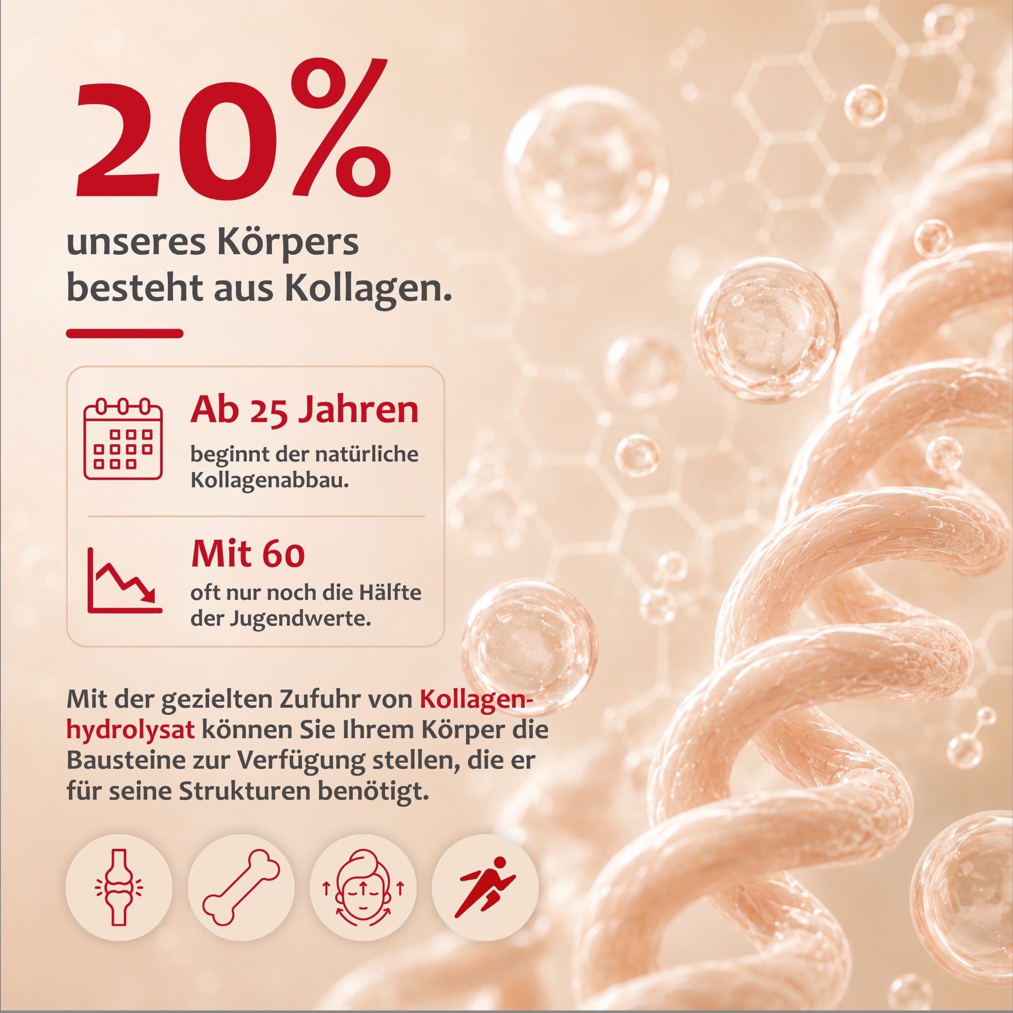 STAUDT® Collagen Drink