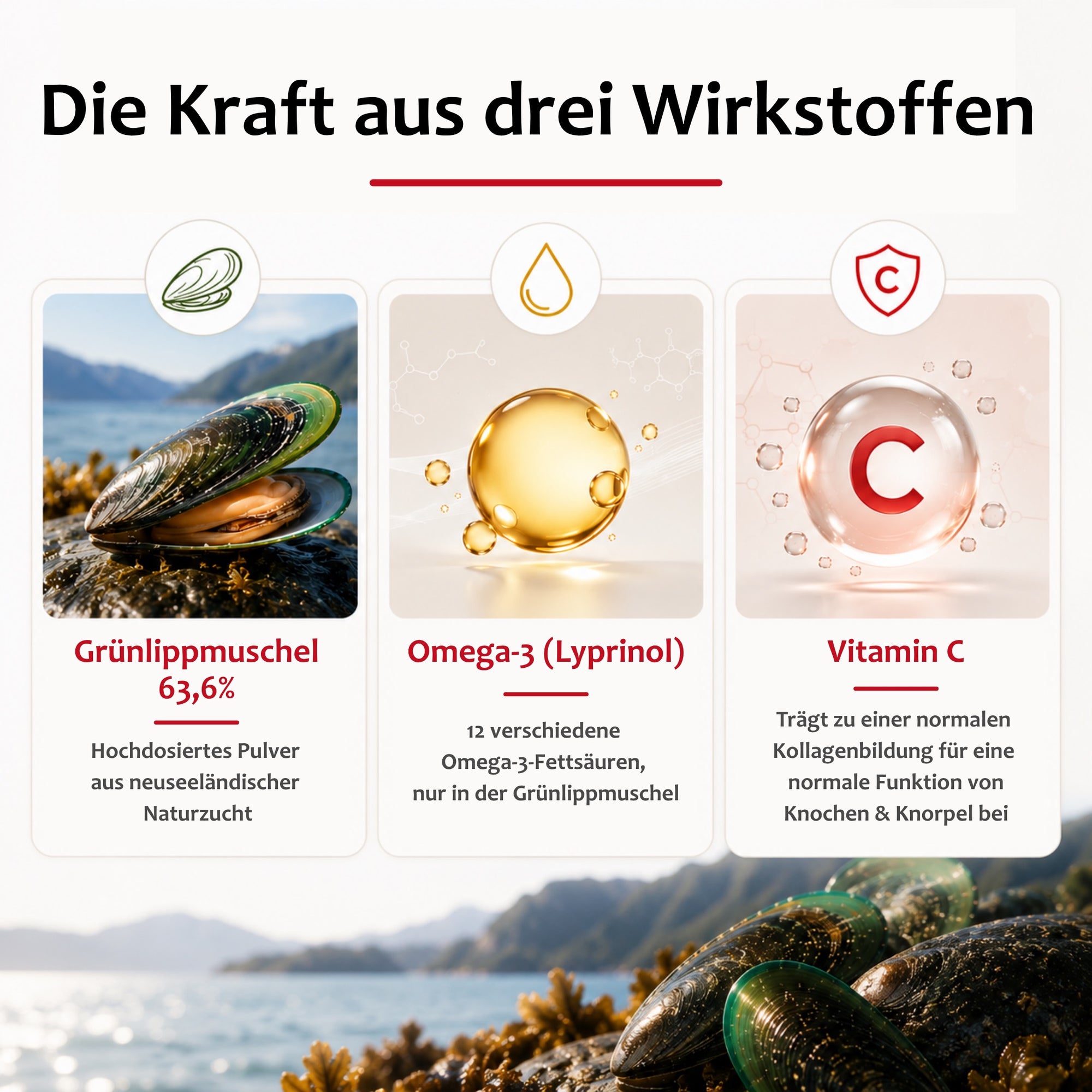 STAUDT® Täglich beweglich Kapseln