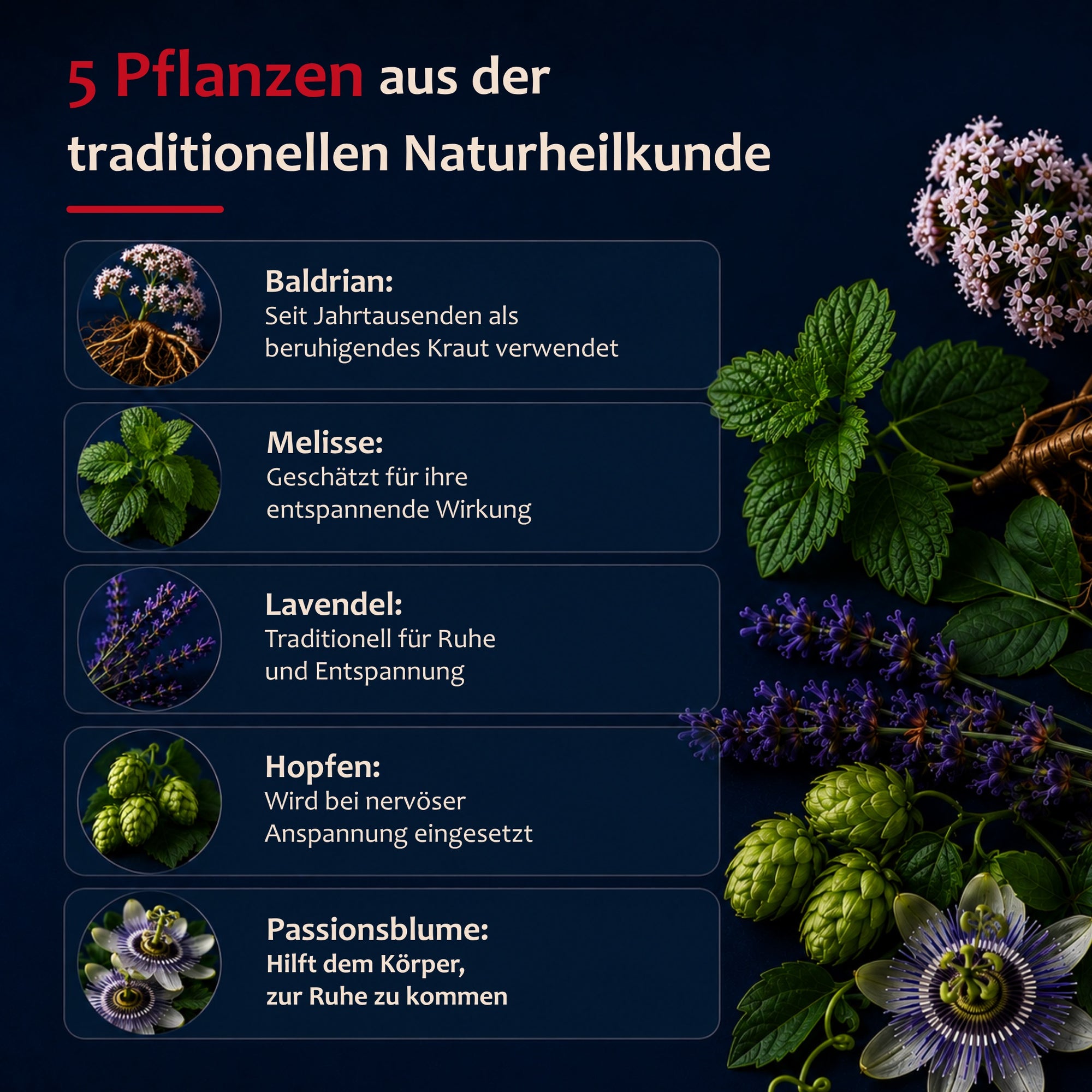STAUDT® Schlaf gut Kapseln