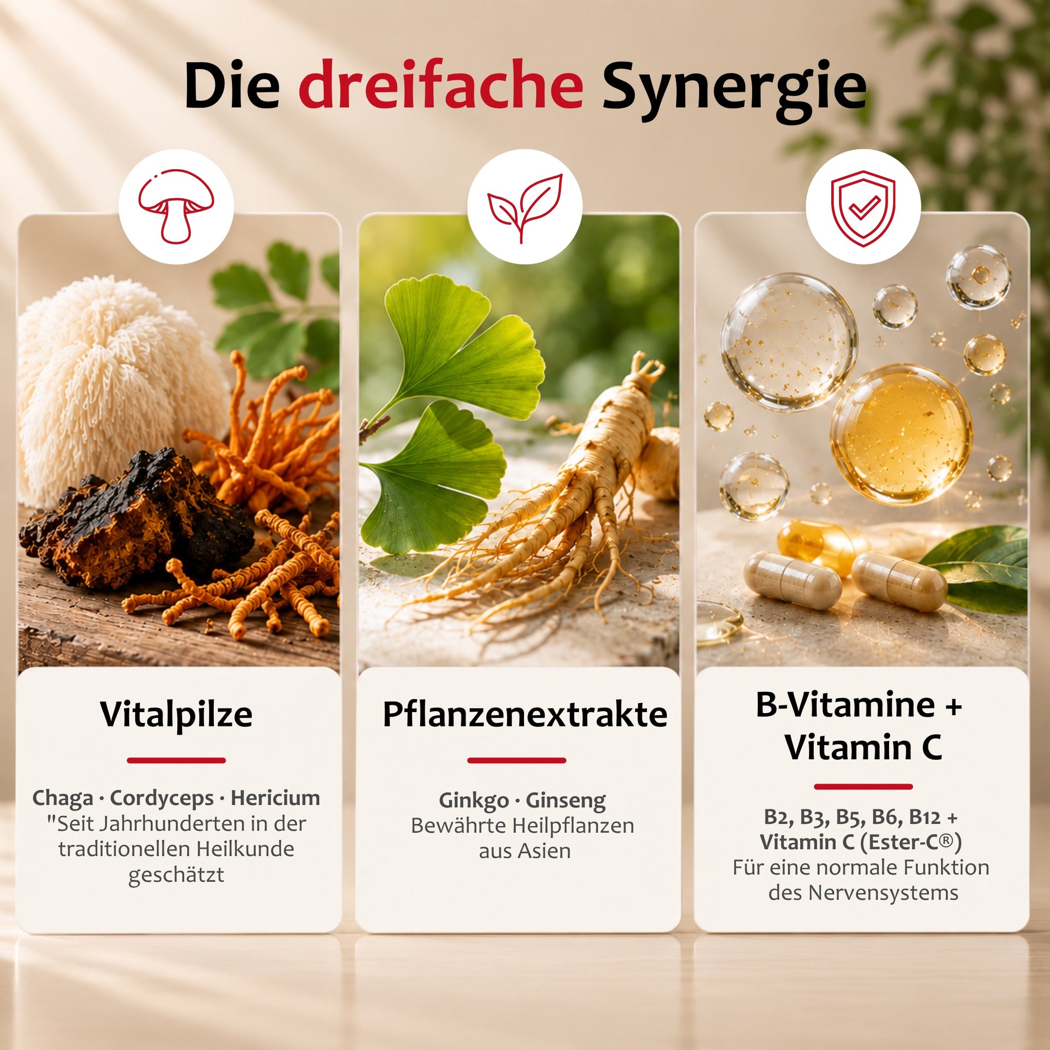 Staudt® Gedächtnis Fit