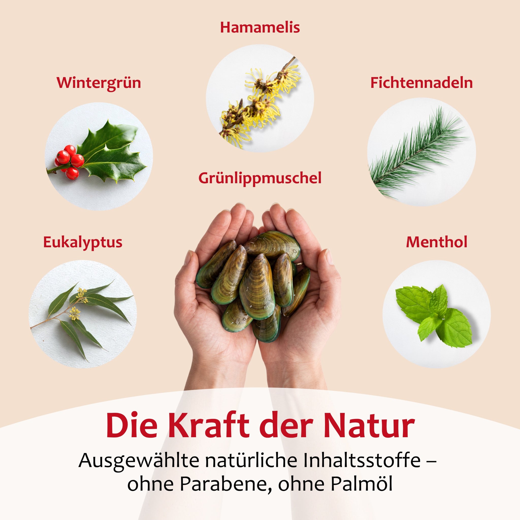 STAUDT® Gel 500 ml Nachfülldose