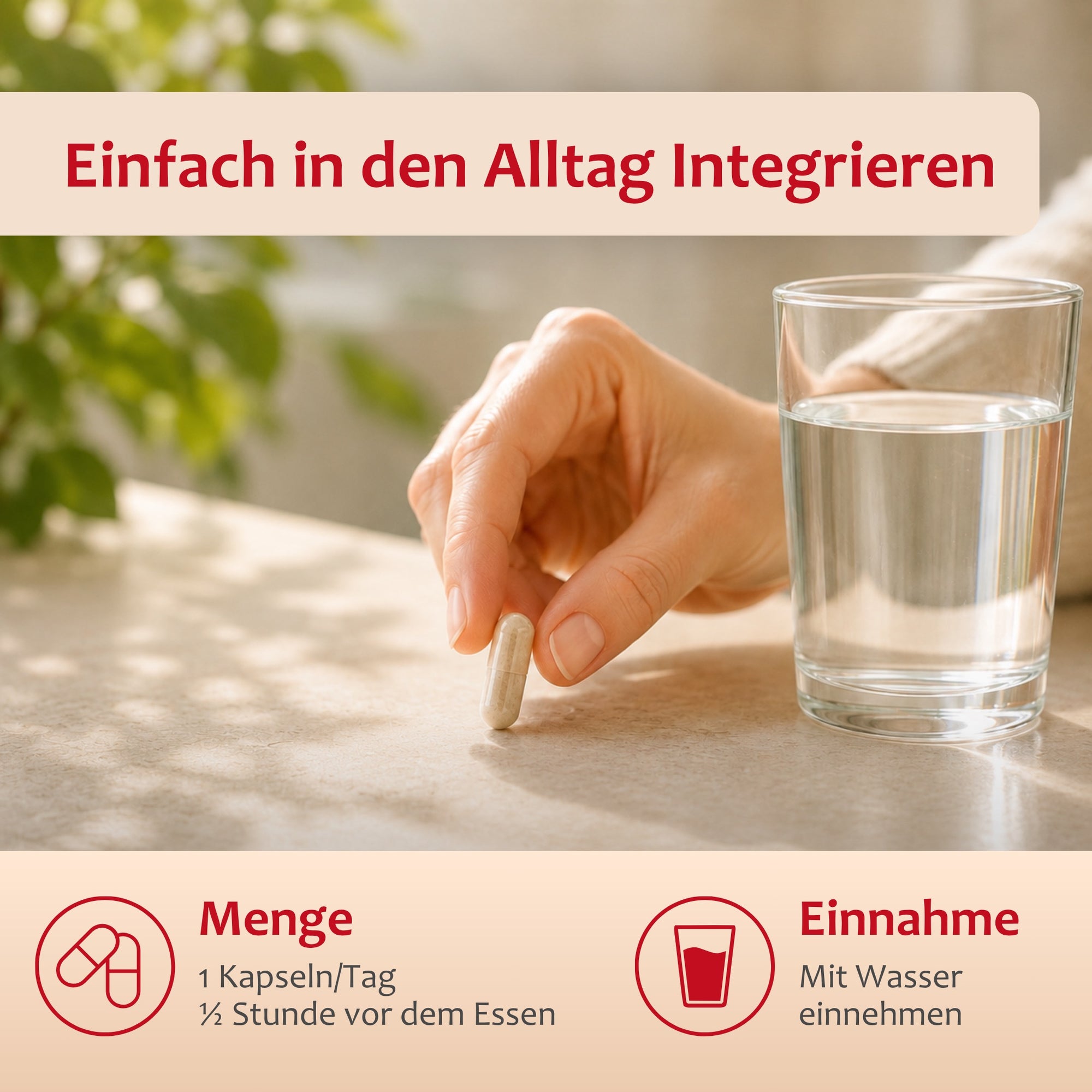 STAUDT® Antioxidans Forte