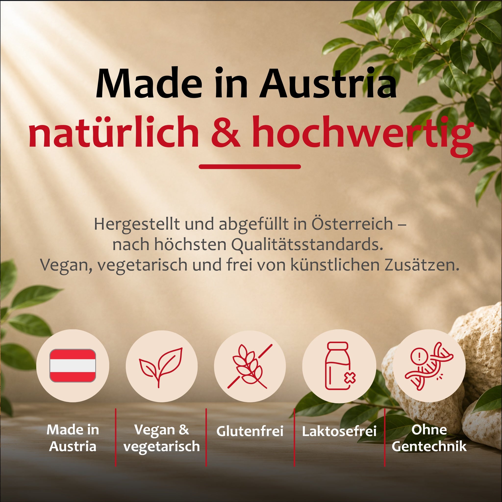 Staudt® Gedächtnis Fit