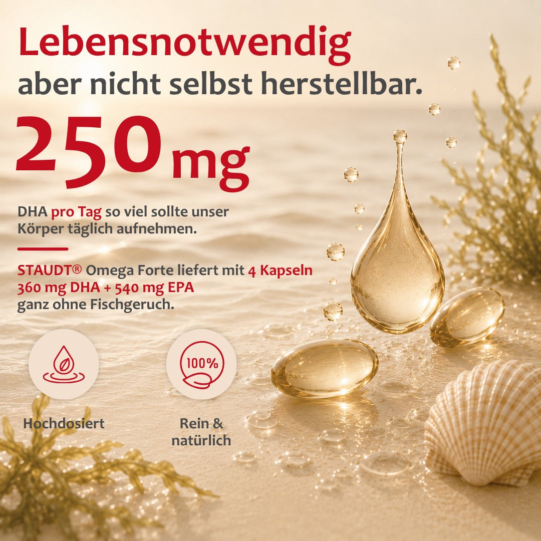 STAUDT® Omega Forte